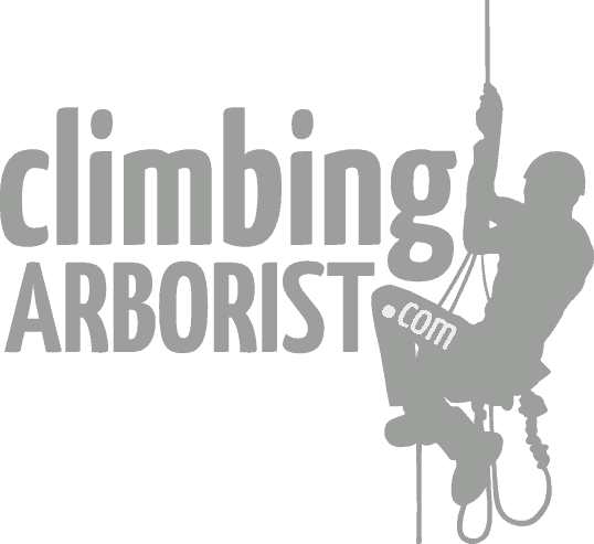 Basic tree climbing techniques : ClimbingArborist.com