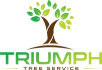 Triumph Tree Service