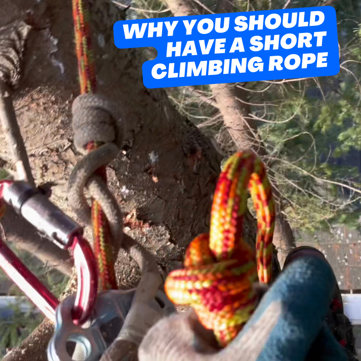 V-RIG Demonstration: Learning This MOVING ROPE System (MRS) for Arborists &  Tree Climbers! 
